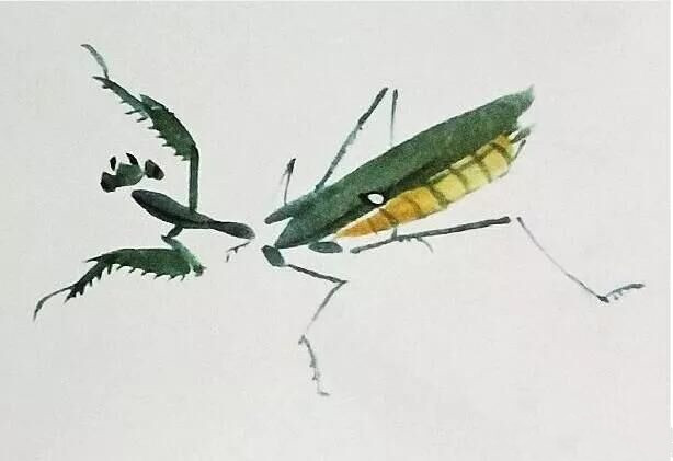畫螳螂