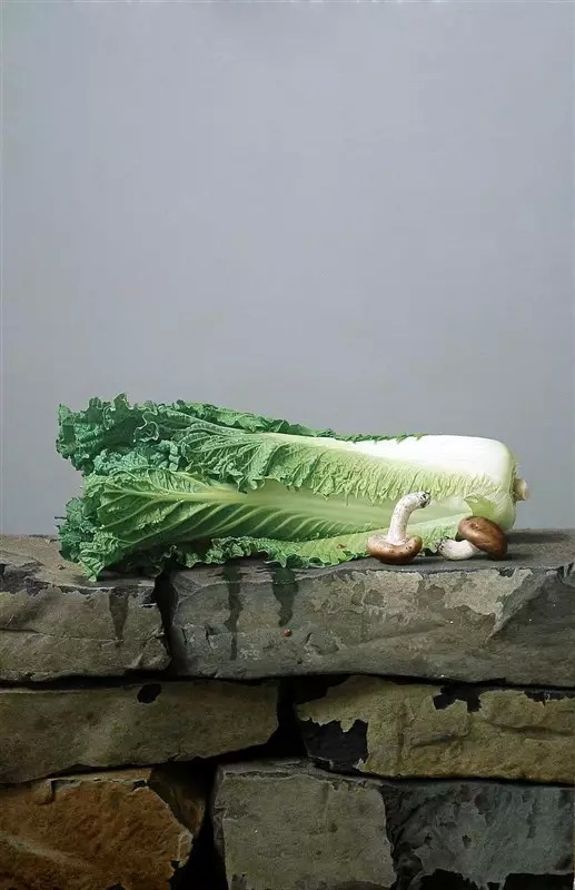 劉向東寫實(shí)油畫靜物作品《白菜蘑菇》