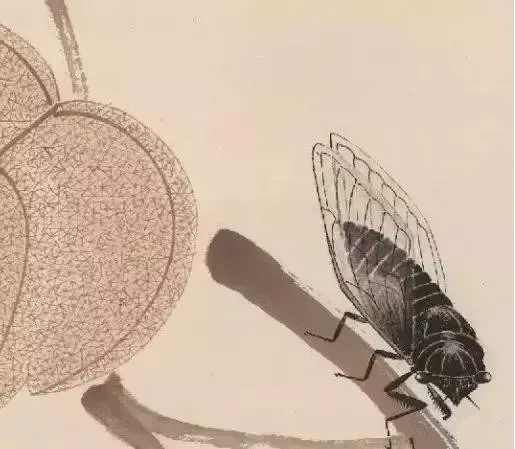 齊白石畫的蟬局部圖1