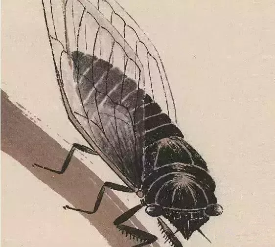 齊白石畫的蟬局部圖2