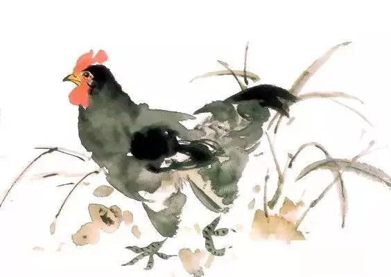 國(guó)畫母雞畫法 國(guó)畫入門-國(guó)畫母雞畫法