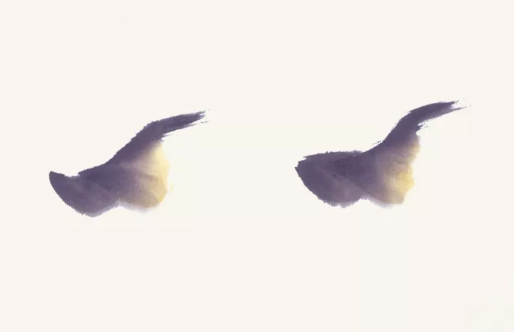 畫家馮增木寫意金魚畫法圖4