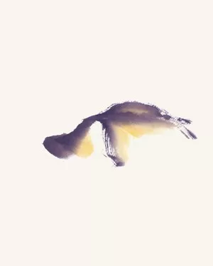 畫家馮增木寫意金魚畫法圖7-2