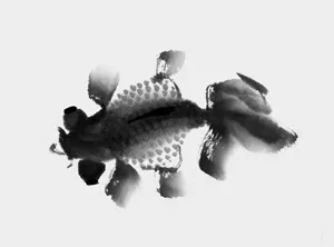 畫家馮增木寫意金魚畫法圖27