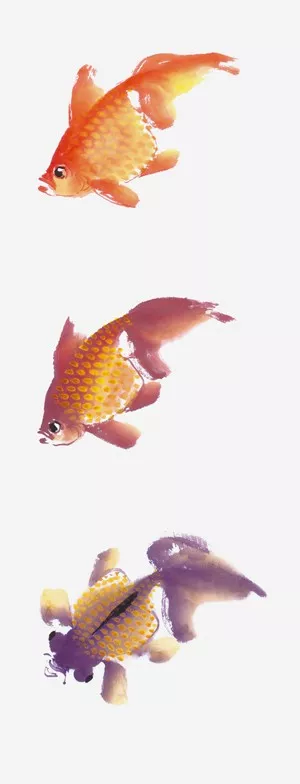 畫家馮增木寫意金魚畫法圖28