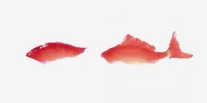 畫家馮增木寫意金魚畫法圖29