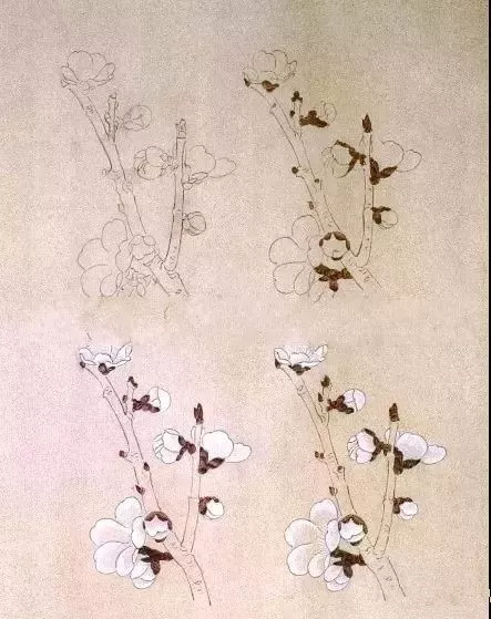 工筆梅花 工筆梅花