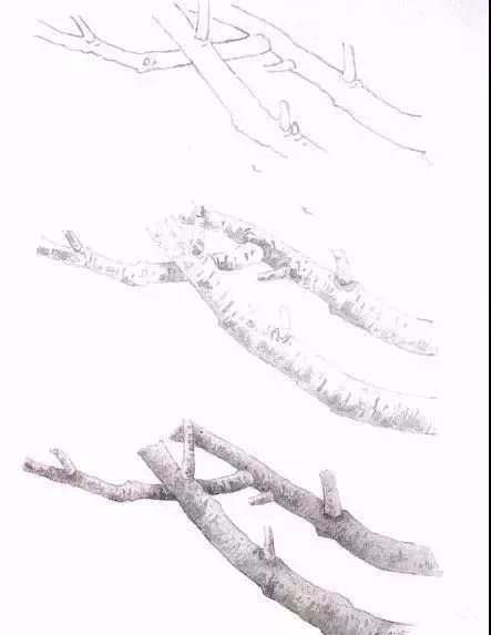 工筆梅花 工筆梅花