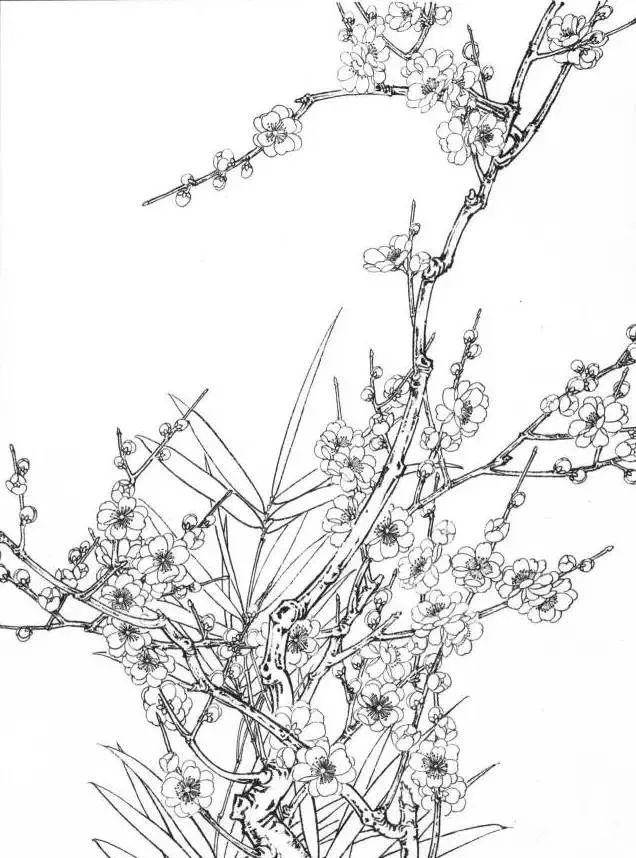 工筆梅花 工筆梅花