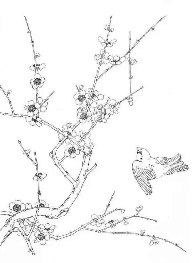 工筆梅花 工筆梅花