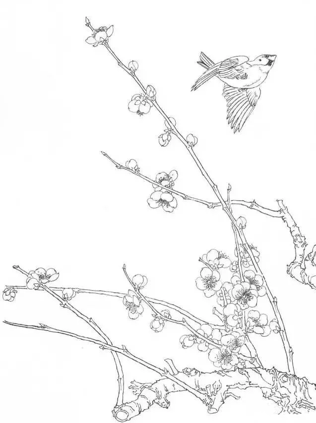 工筆梅花 工筆梅花