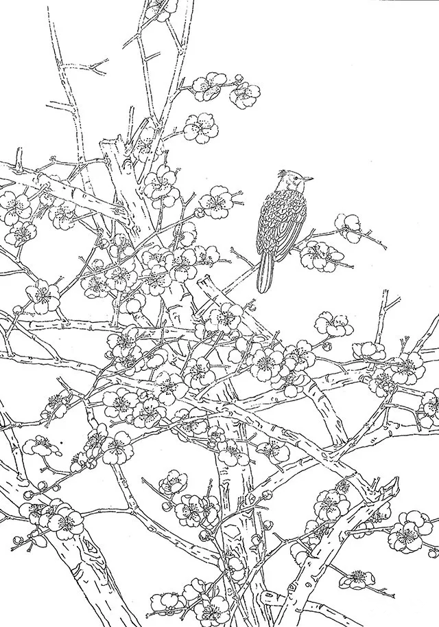 工筆梅花 工筆梅花