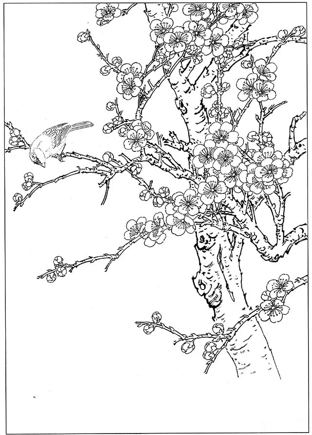 工筆梅花 工筆梅花