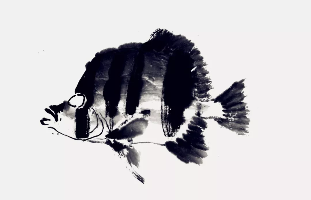 蝴蝶魚畫法 蝴蝶魚畫法