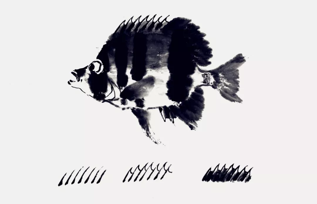 蝴蝶魚畫法 蝴蝶魚畫法