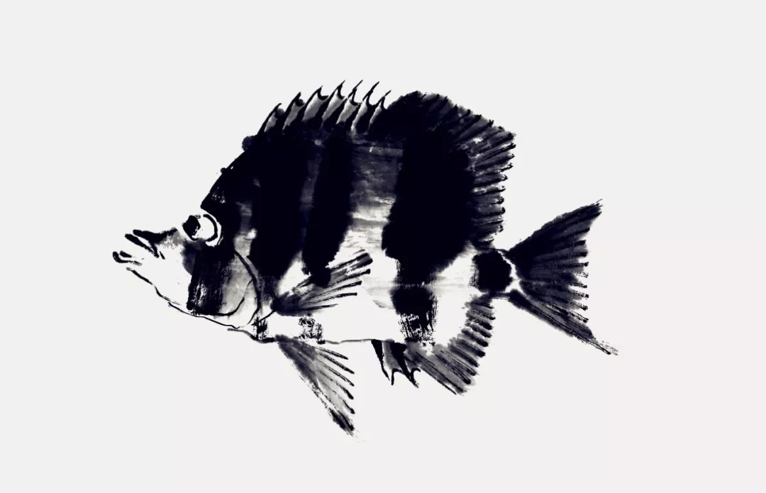 蝴蝶魚畫法 蝴蝶魚畫法