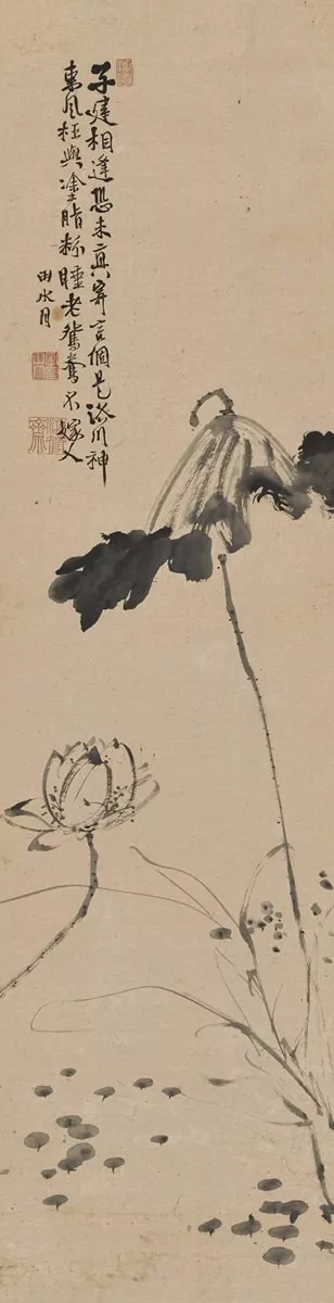 徐渭 墨荷圖