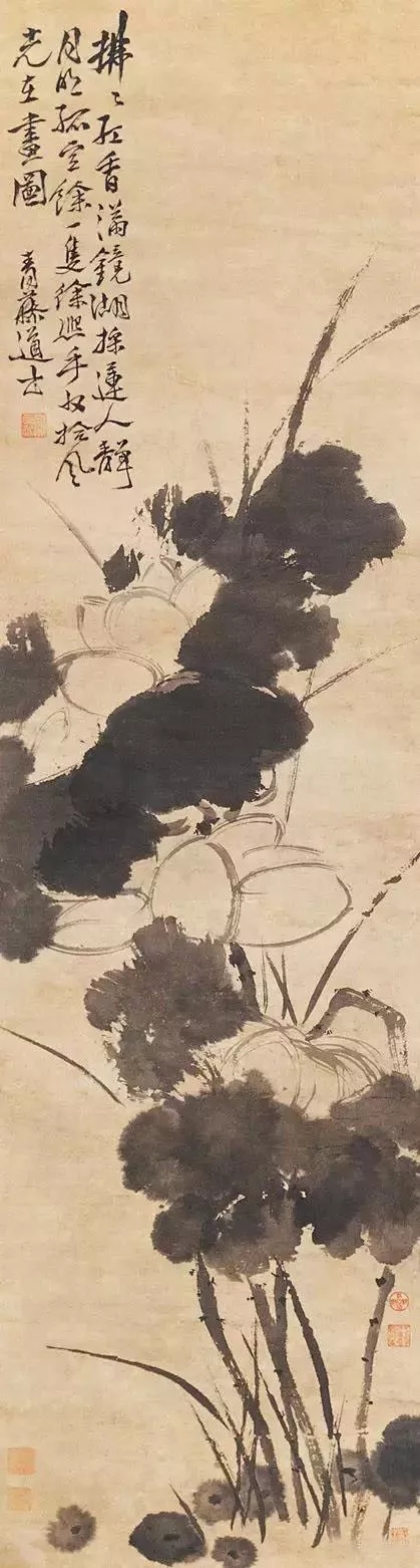 徐渭 墨荷圖