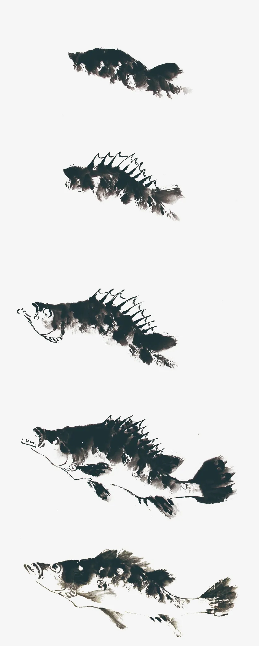 鱖魚的畫法