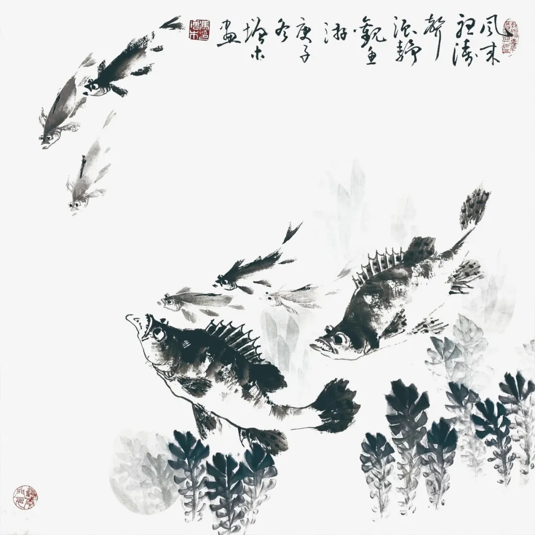 鱖魚的畫法