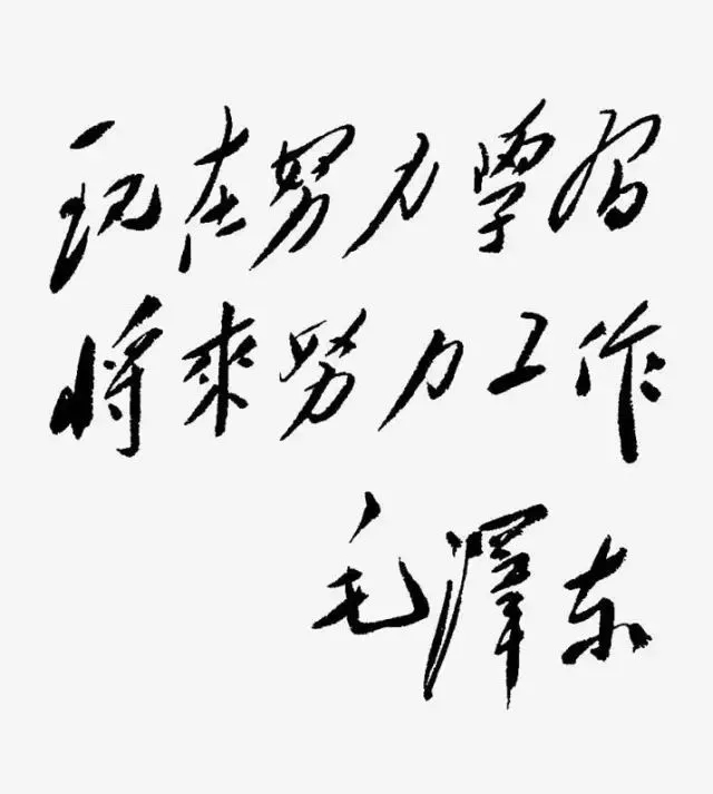 毛澤東書法：現(xiàn)在努力學(xué)習(xí)，將來努力工作