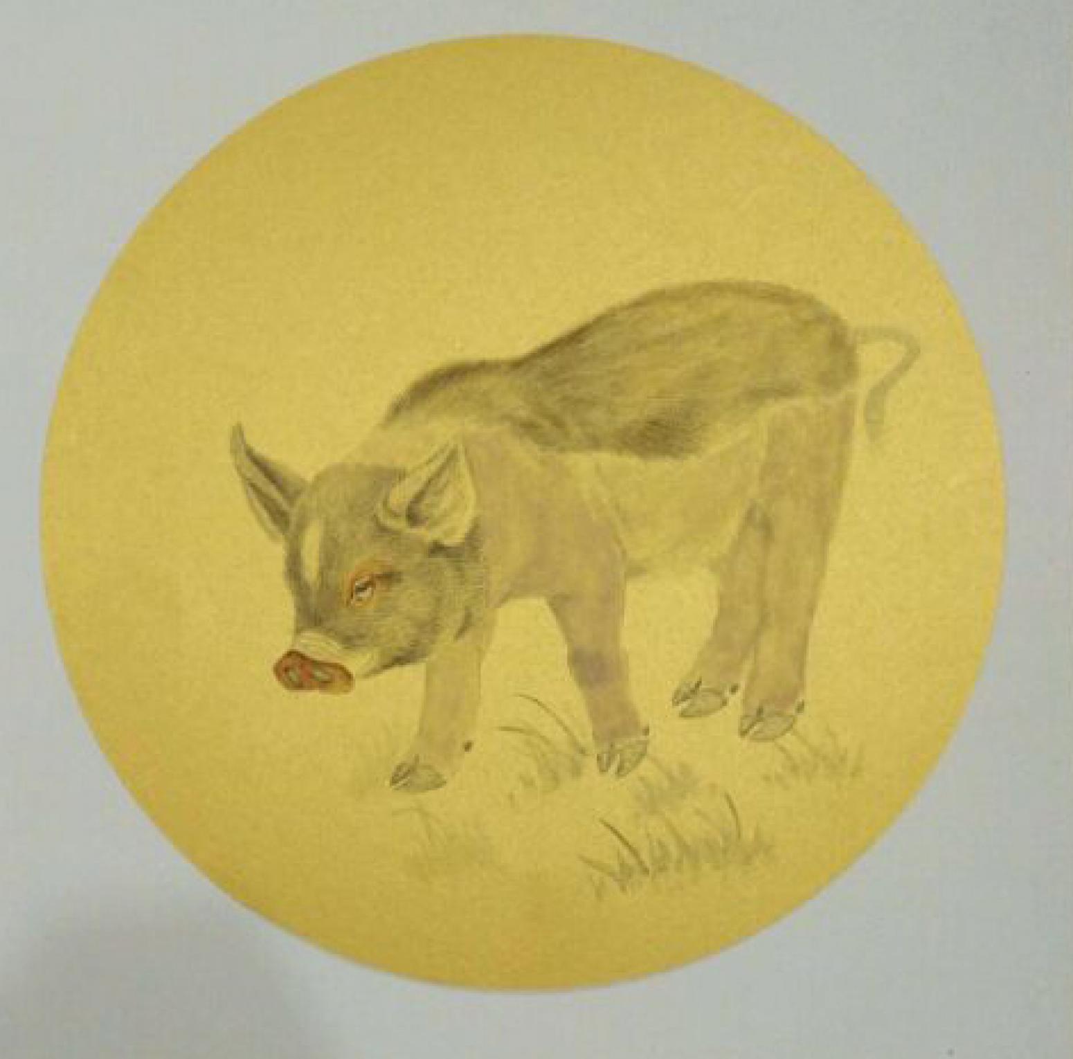 徐水英國畫作品《【豬】作者徐水英》【圖0】