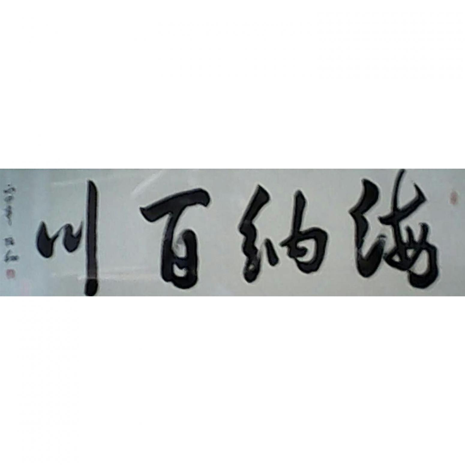 張翔書法作品《【海納百川】作者張翔》