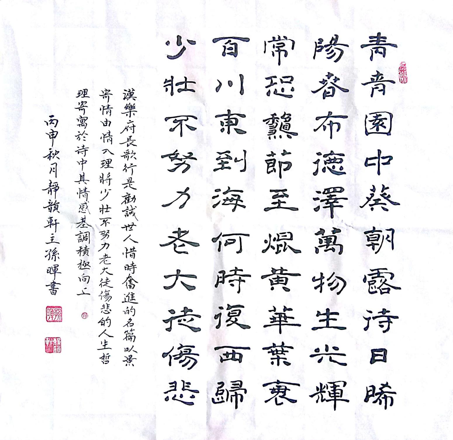 孫暉書法作品《【書法 】作者孫暉》【圖0】