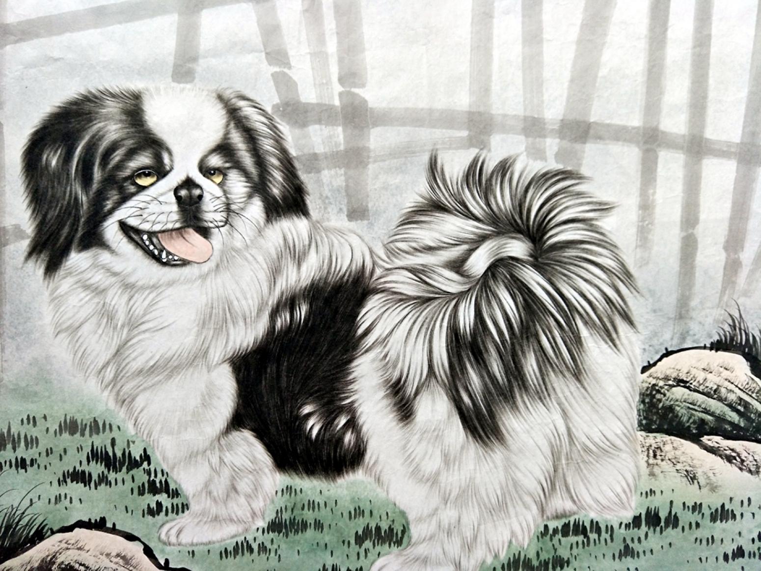 石海博國畫作品《旺財(cái)圖》【圖0】