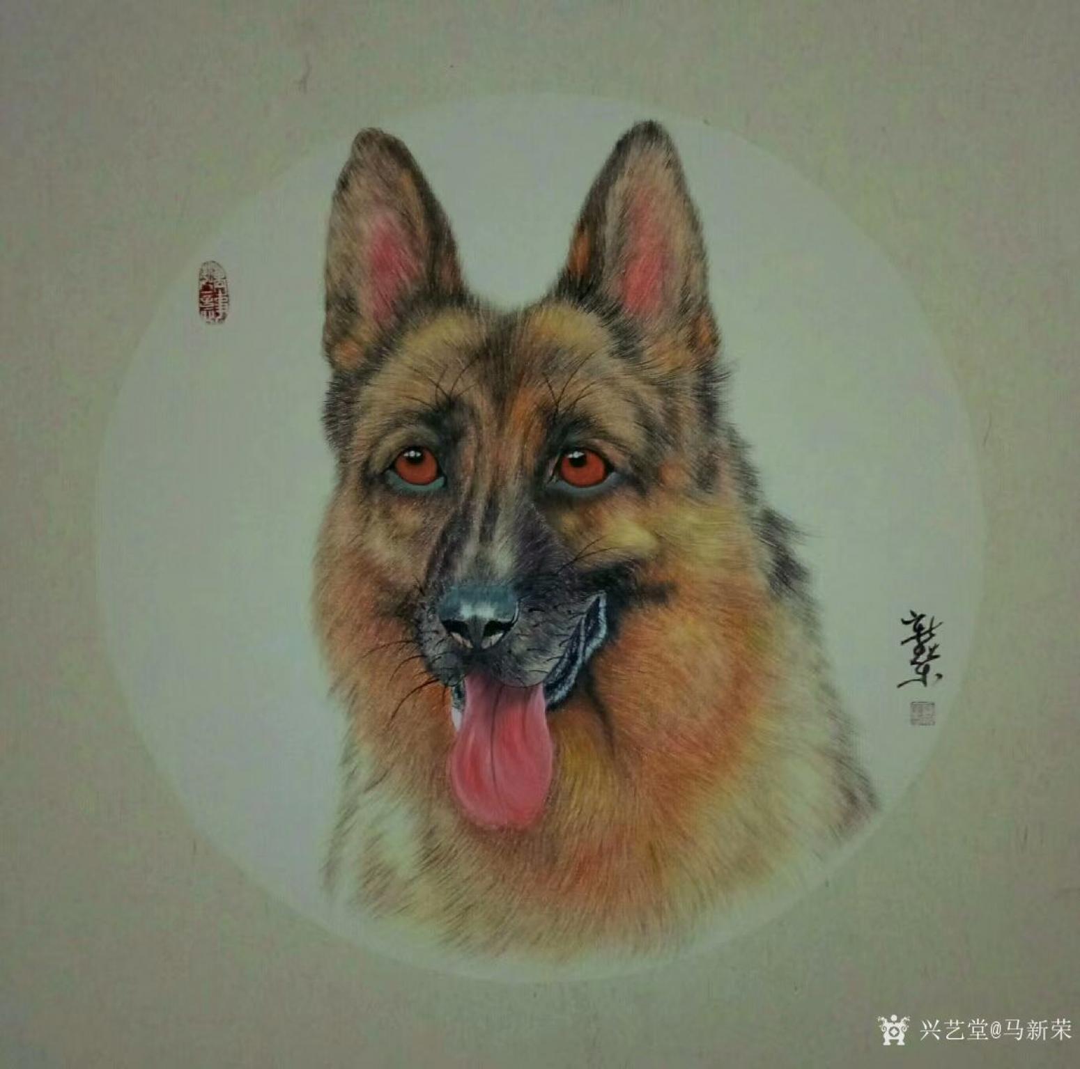 馬新榮國畫作品《牧羊犬》【圖0】