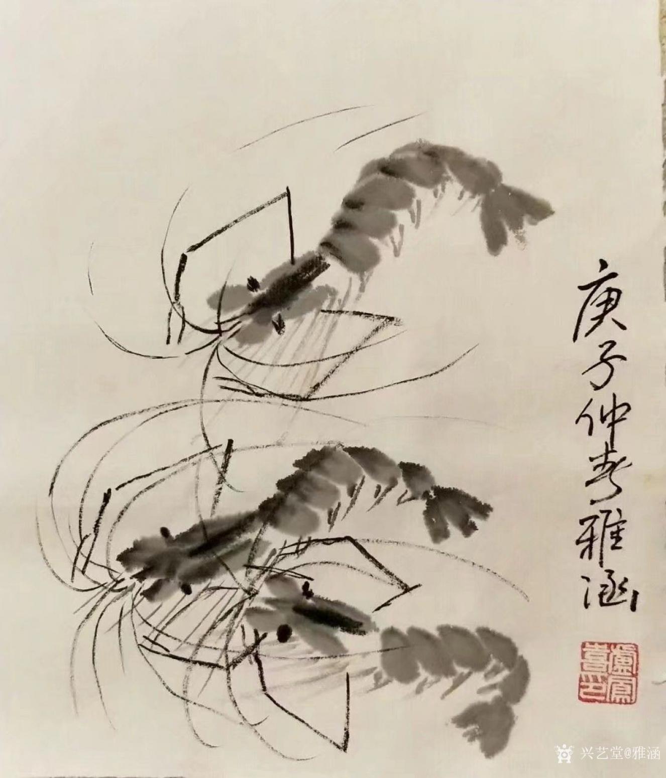 雅涵一一主人鳳喜國畫作品《蝦》【圖0】